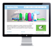 website.png - 22.29 KB